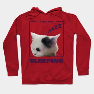 I can't stop sleeping Hoodie